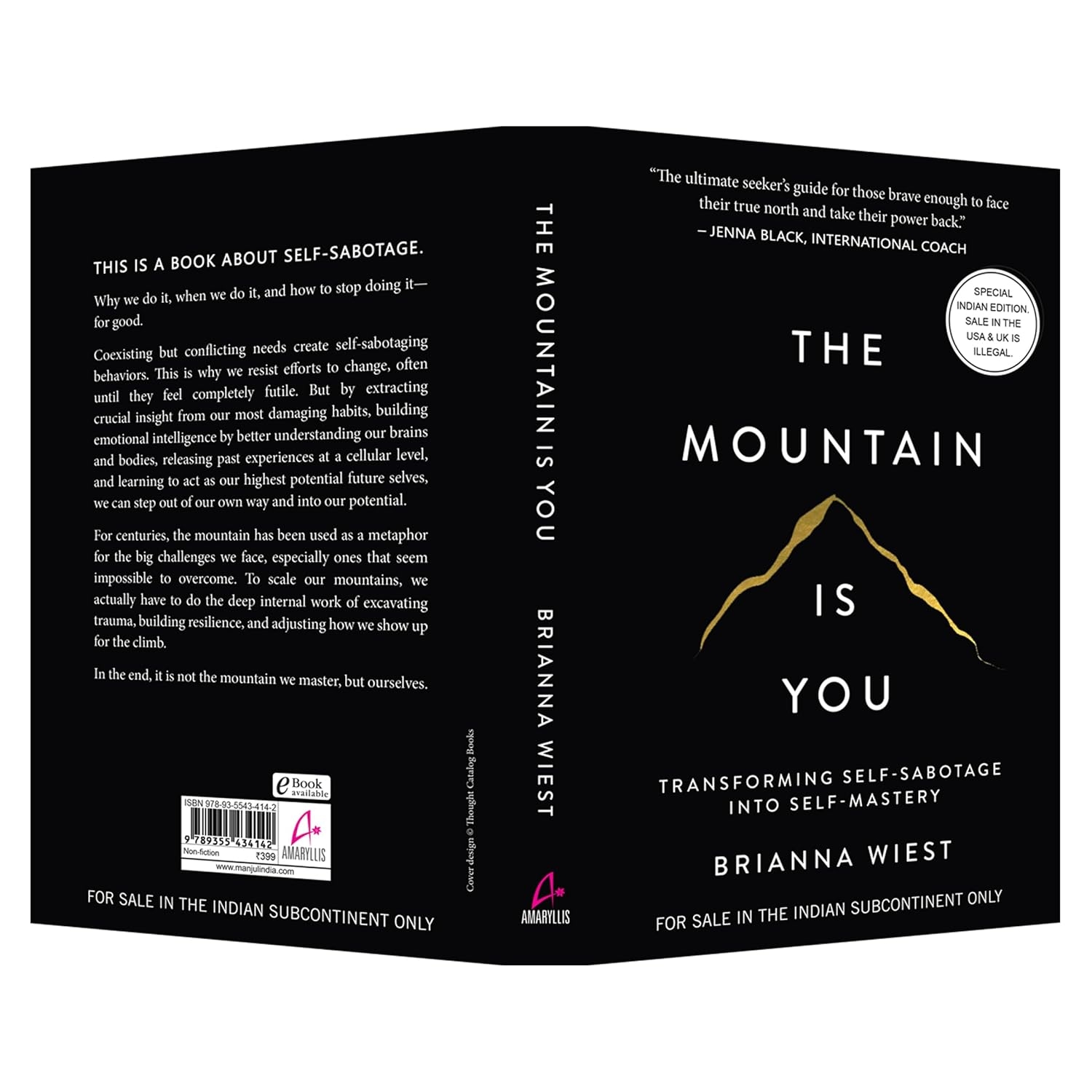 The Mountain Is You: Transforming Self-Sabotage Into Self-Mastery (English) - Image 4