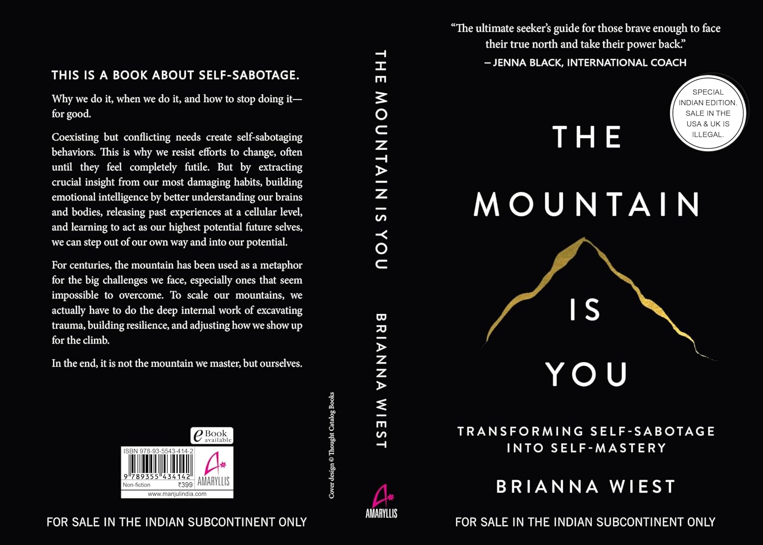 The Mountain Is You: Transforming Self-Sabotage Into Self-Mastery (English) - Image 7